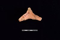 藏品(連杯形器)的圖片